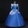 Disney Princess Cinderella Cosplay Gorgeous Dress Costume 